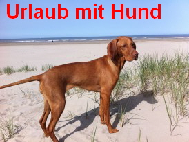 Urlaub mit Hund